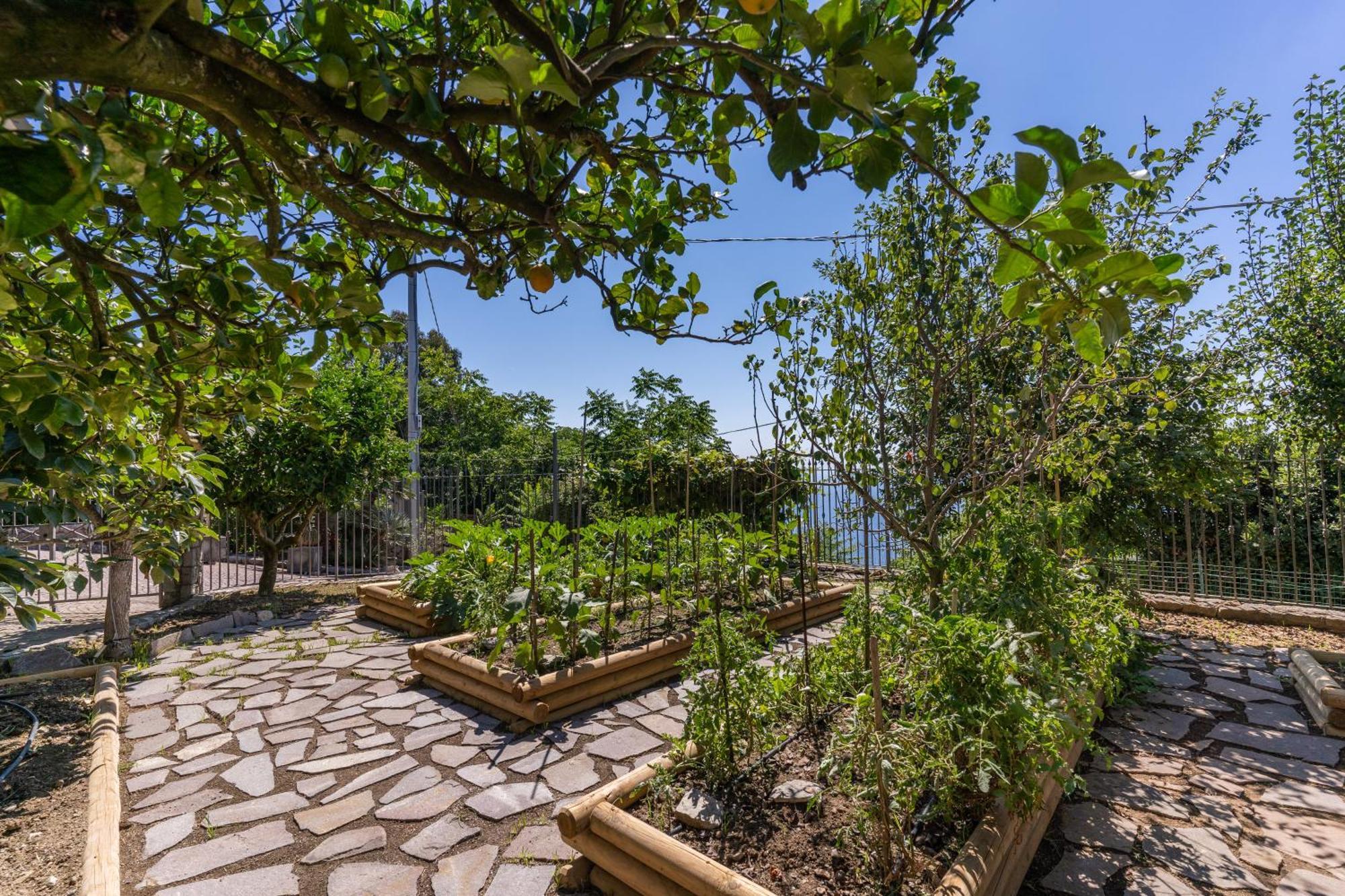 Villa Solatia Massa Lubrense Exterior photo
